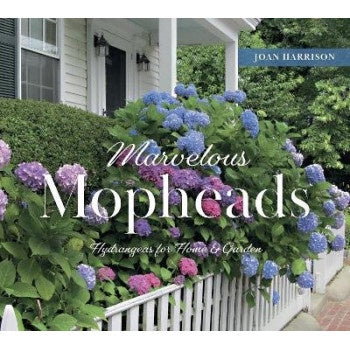 Marvelous Mopheads - Hydrangeas for Home & Garden