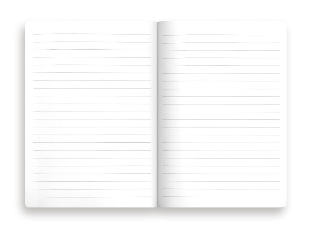 Notebook | THINGS TO OVERTHINK ABOUT