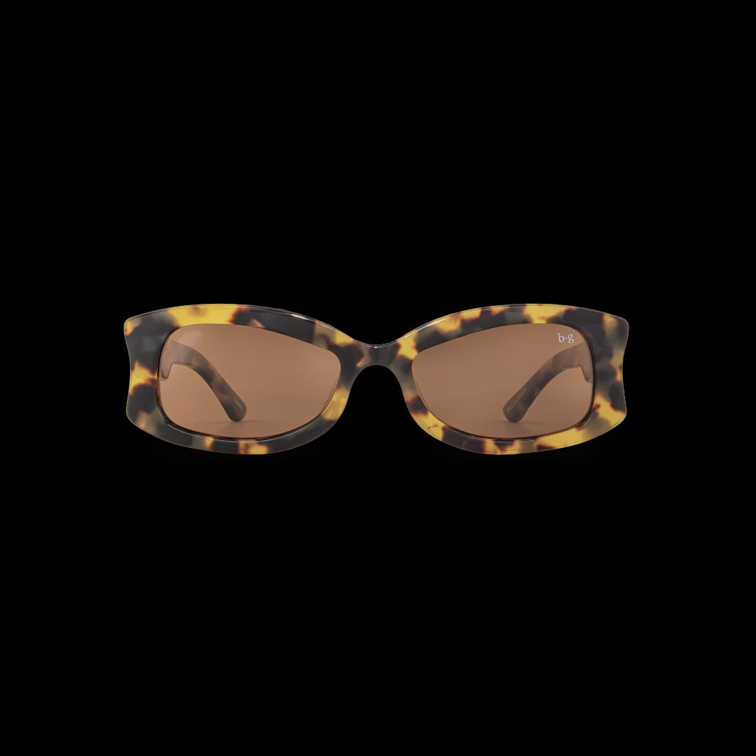 Premium Polarized Sunglasses - Sidney Tort