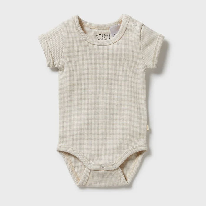 Wilson & Frenchy | Organic Stripe Ribbed Bodysuit