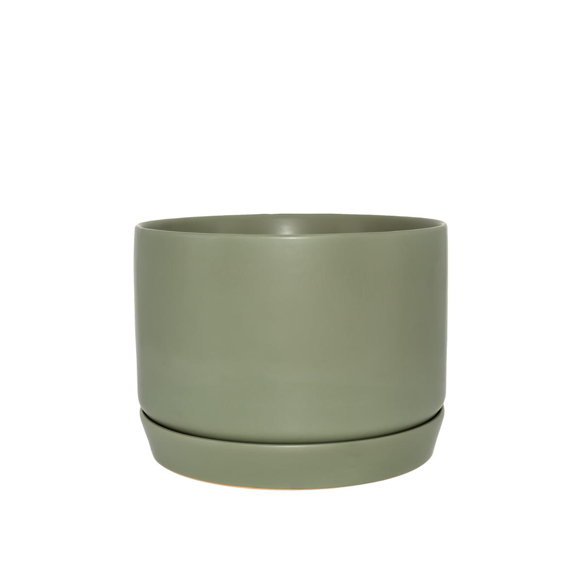 Potted | Oslo Planter Wide - Eucalypt