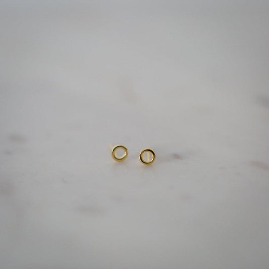 Sophie | Oh My Studs - Found My Way Invercargill