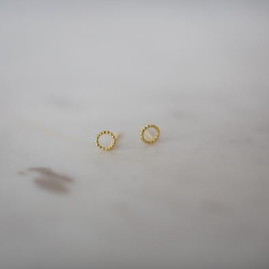 Sophie | Dotty Oh Studs - Found My Way Invercargill