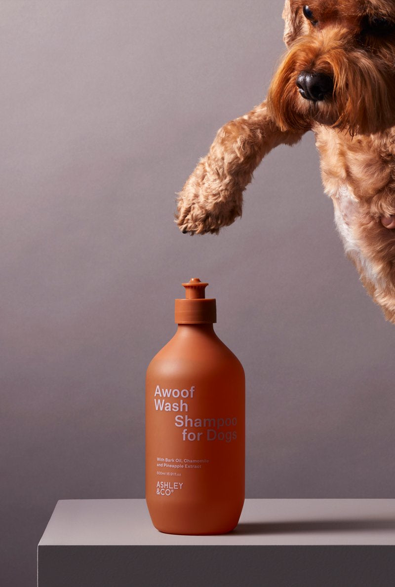 Ashley & Co | Awoof Wash - Doug, Dug and Dug - Found My Way Invercargill