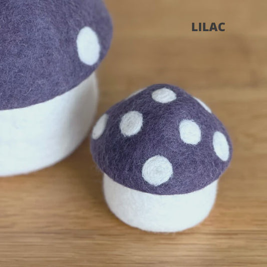 Mini Toadstool Trinket Box
