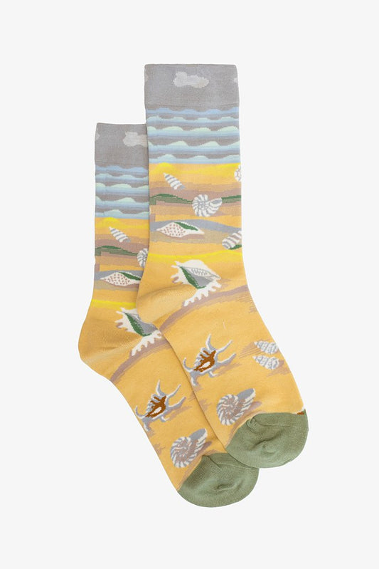 Seashell | Sock