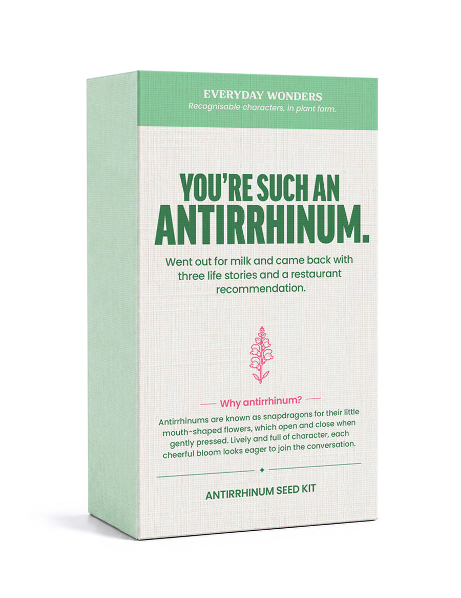 Everyday Wonders Seed Kits