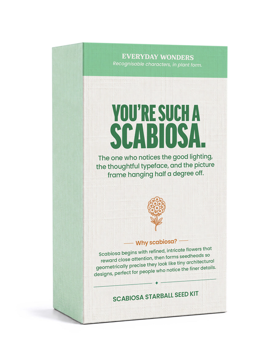 Everyday Wonders Seed Kits
