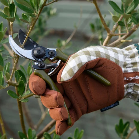 Collectors Micro Secateurs | Olive