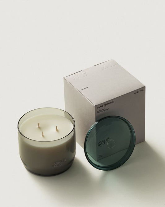 Ashley & Co Waxed Perfume XL candle in Tui & Kahili, smoky glass jar with teal lid and box