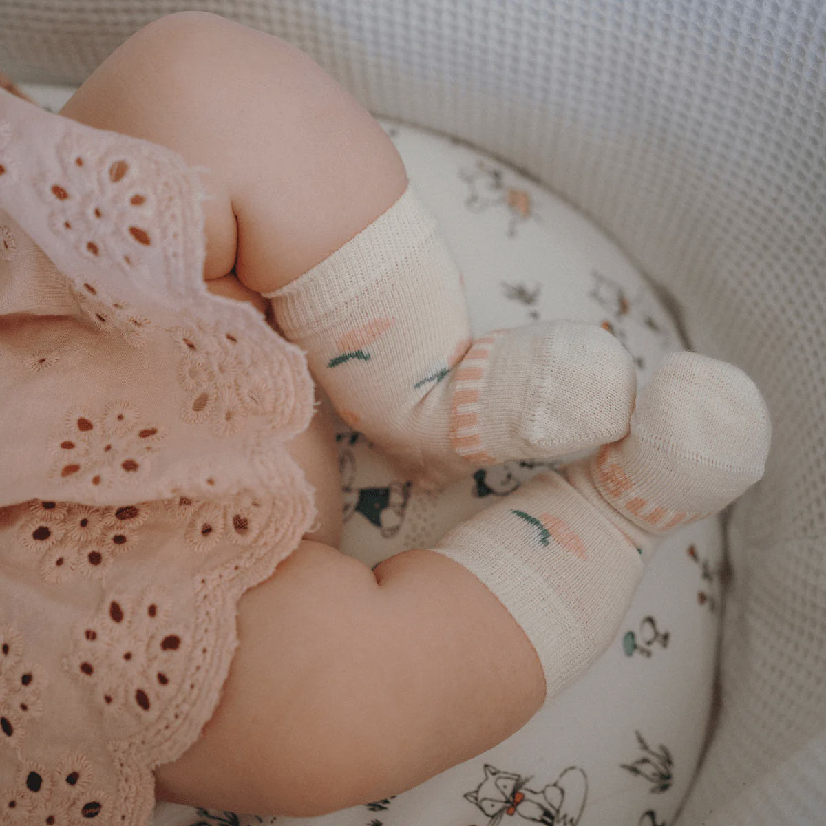 Lamington | Merino Crew Socks - Rosa