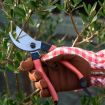 Collectors Bypass Secateurs | Red