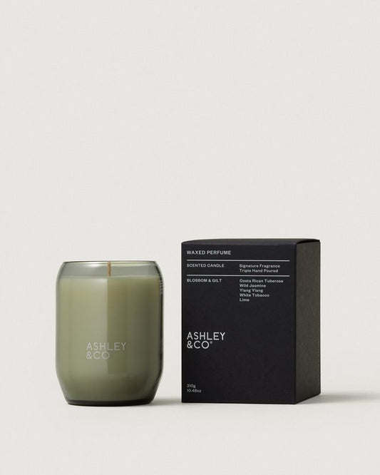 Ashley & Co Waxed Perfume candle in Blossom & Gilt with green glass jar and black box