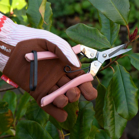 Collectors Fruit and Flower Snips | Blush