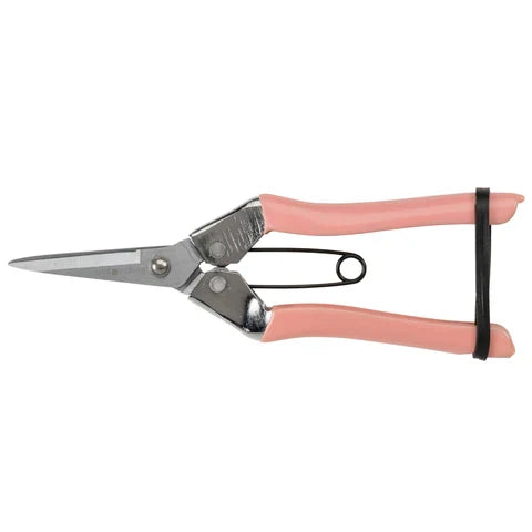Collectors Fruit and Flower Snips | Blush