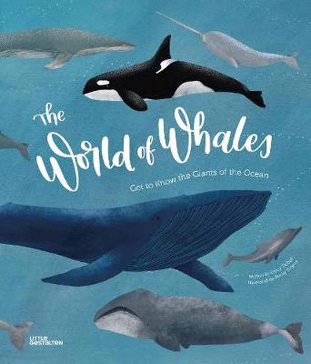 The World of Whales: Get to Know the Giants of the Ocean - Found My Way Invercargill