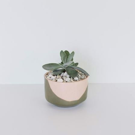 JS Ceramics | Planter - Pink Sand/Sage Swirl - Small - Found My Way Invercargill