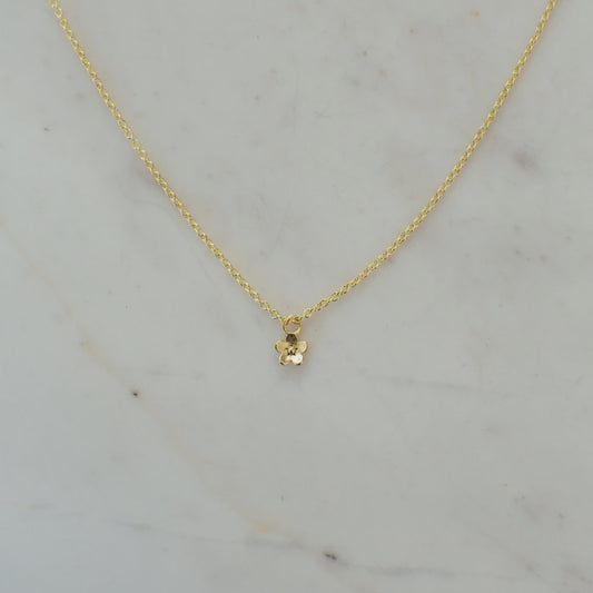 Sophie | Daisy Day Necklace - Found My Way Invercargill