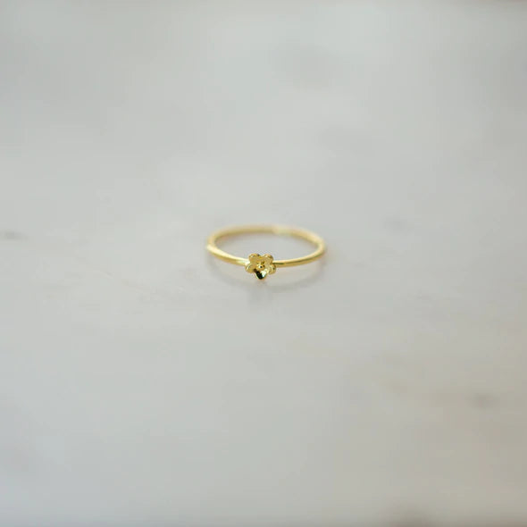 Sophie | Daisy Day Ring - Found My Way Invercargill